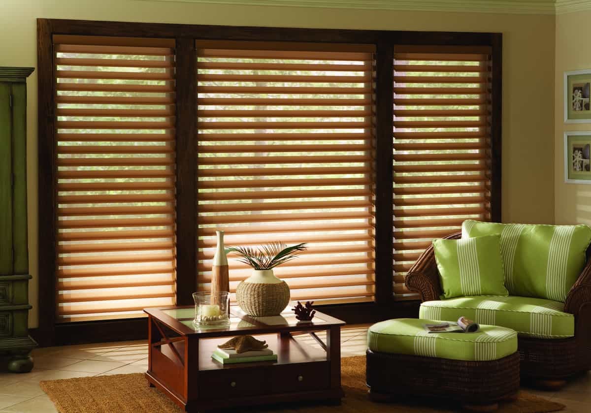 Hunter Douglas Silhouette® Window Shadings for UV protection and light control near Newport News, Virginia.