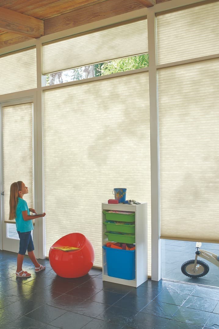 Hunter Douglas PowerView® Automation Motorized Blinds Motorized Shades Automatic Blinds near Newport News, Virginia (VA).