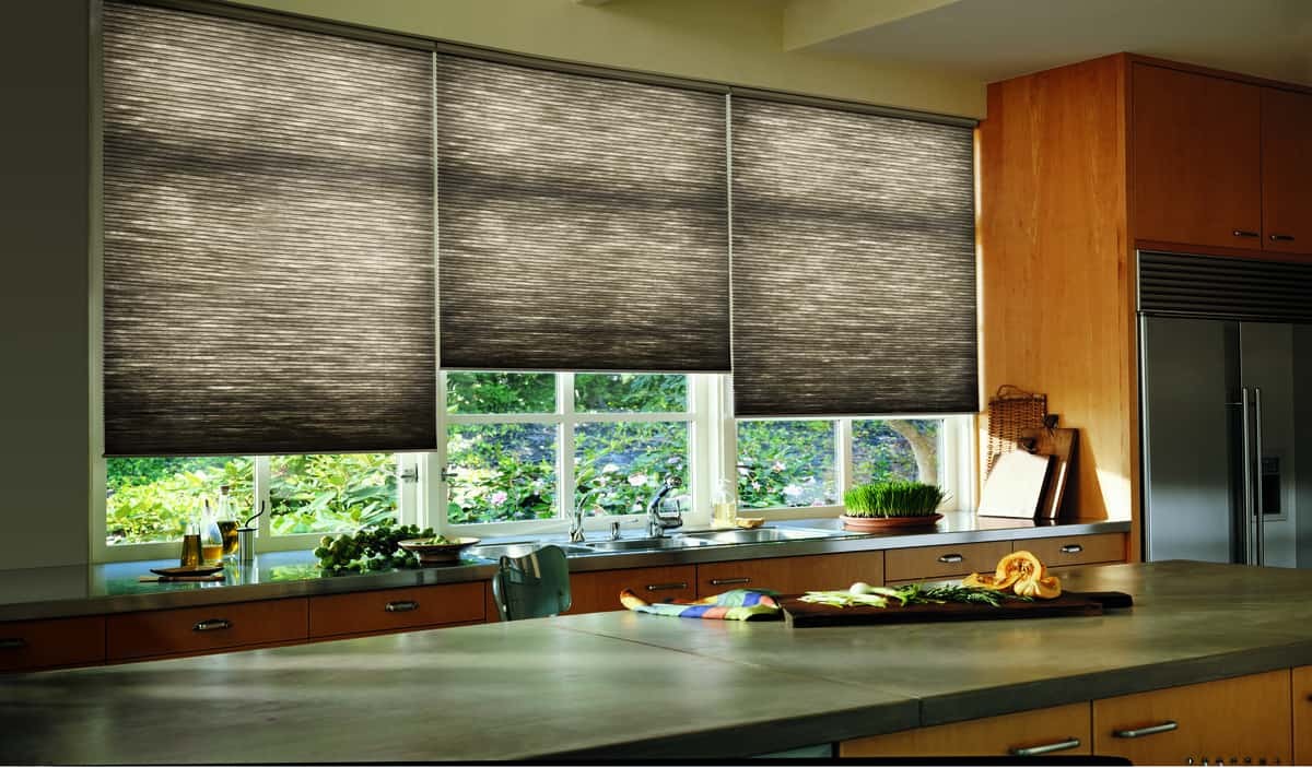 Hunter Douglas Duette® Honeycomb Shades Cell Shades Cellular Blinds Honeycomb Blinds near Newport News, Virginia (VA).