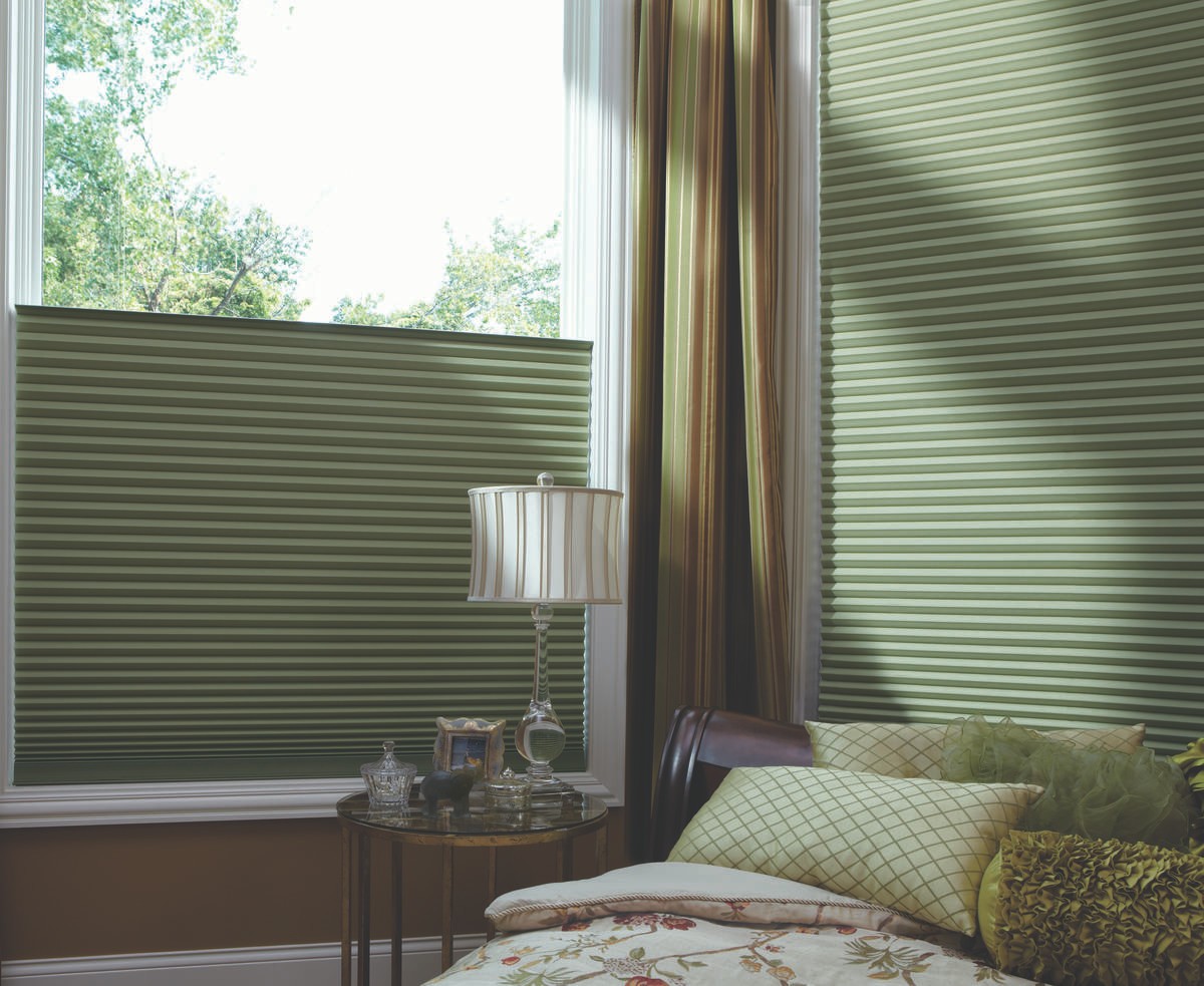 Duette® Honeycomb Cellular Shades near Suffolk, Virginia (VA) are included in the best window shades.