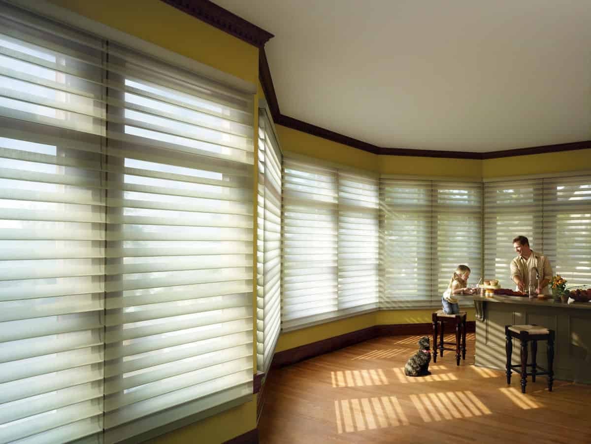 Hunter Douglas Silhouette® Window Shadings Window Sheers Custom Shadings Window Treatments near Newport News, Virginia (VA).