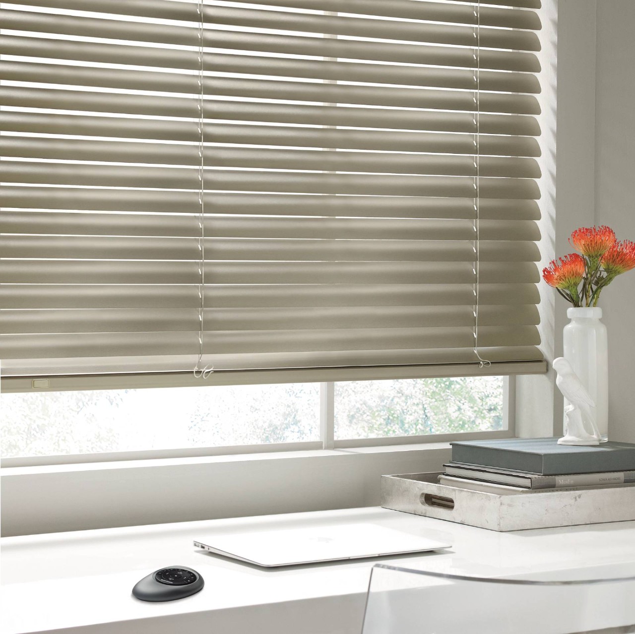 Hunter Douglas Modern Precious Metals® Mini Blinds near Newport News, Virginia (VA) 