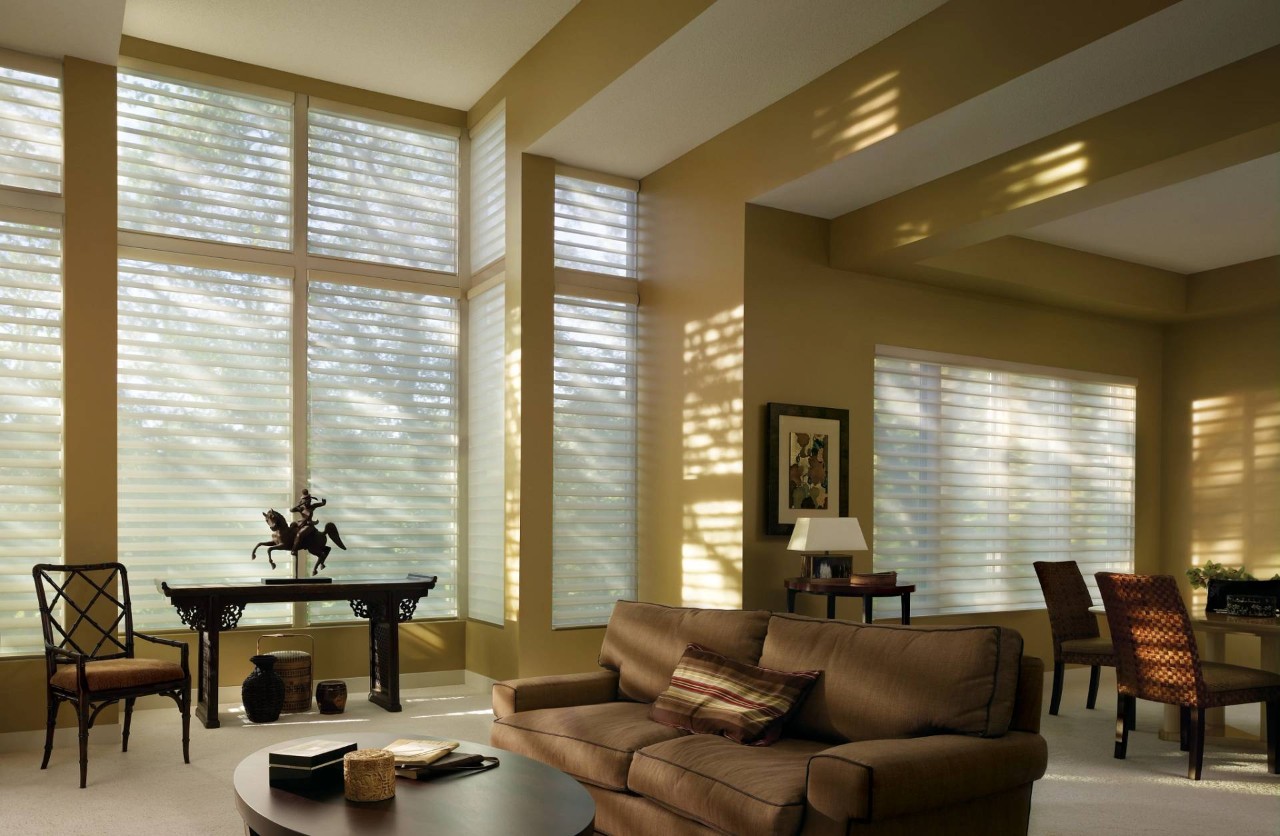 Hunter Douglas Silhouette® Sheer Shades near Newport News, Virginia (VA)